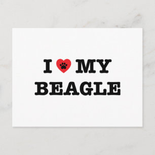 I Heart My Beagle Postcard