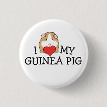 I Heart My Guinea Pig Button