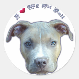 I Heart My Pit Bull Sticker