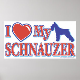 I Heart My Schnauzer Poster