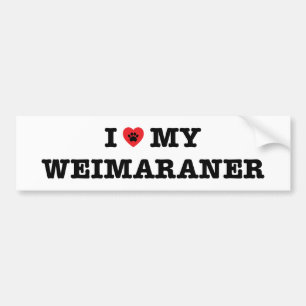I Heart My Weimaraner Bumper Sticker