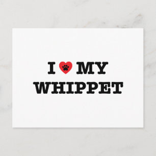 I Heart My Whippet Postcard