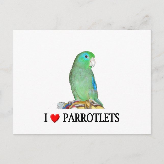I "heart" parrotlets postcard (Front)