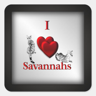 I Heart Savannah Cat Silver Square Sticker