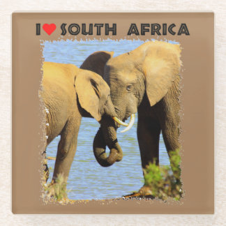 I Heart South Africa elephants in love Glass Coaster