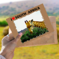 I Heart South Africa Giraffe Thorn tree