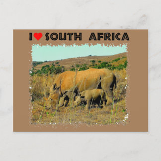 I Heart South Africa Rhino amongst the reeds Postcard