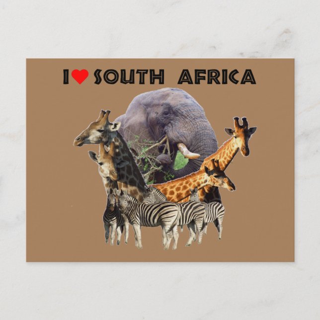 I Heart South Africa Wildlife Collage Postcard (Front)