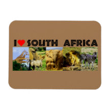 I Heart South Africa Wildlife Photos