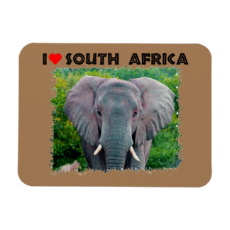 I Heart South Africa young bull elephant Magnet