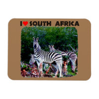 I Heart South Africa Zebra Aloe