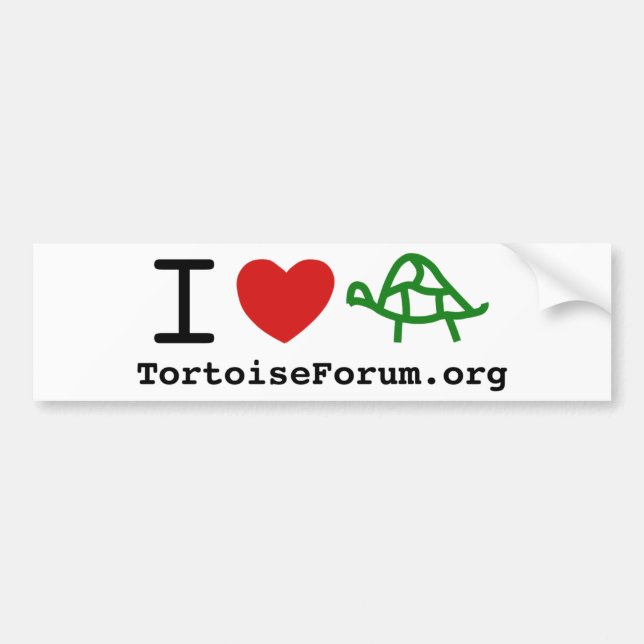 I Heart Tortoises Bumper Sticker (Front)