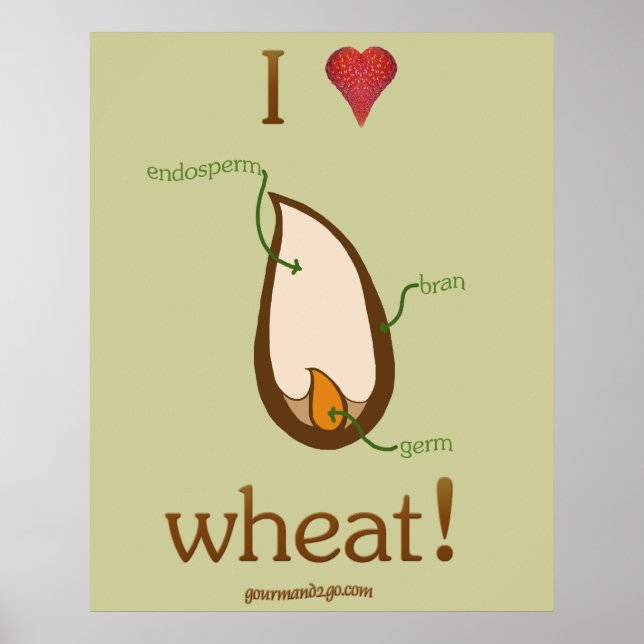 I Heart Wheat! Poster (Front)
