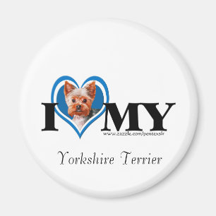 I Heart Yorkshire Terrier-Blue-Magnet Magnet