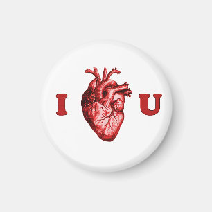 I Heart You Anatomical Heart - White & Red Magnet