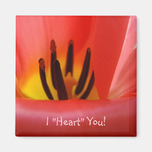 I "Heart" You! magnet RED Tulip Flowers