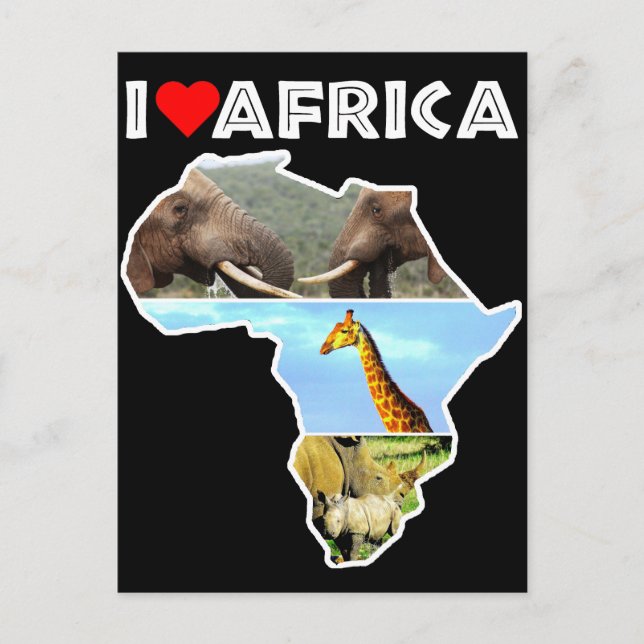 I Heat Africa Wildlife Collage Postcard (Front)