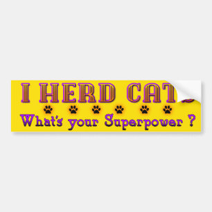 I Herd Cats Bumper Sticker