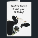 I Herd it Was Your Birthday Brother Holstein Cow<br><div class="desc">I Herd it Was Your Birthday Brother Fun Cow Humour and hope it puts you in a good mooood.   Funny animal birthday humour with a herd of cows.   Good card for someone with a sense of humour or a farmer</div>