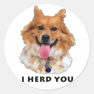 I HERD YOU CLASSIC ROUND STICKER