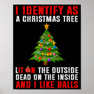 I Identify As A Christmas Tree Lit On The Outside Poster
