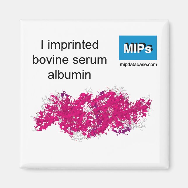 I imprinted BSA magnet (Front)