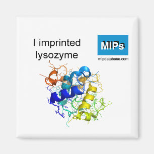 I imprinted lysozyme magnet