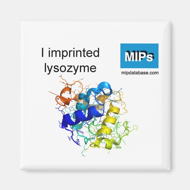 I imprinted lysozyme magnet (Front)