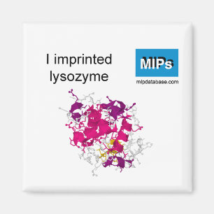 I imprinted lysozyme magnet