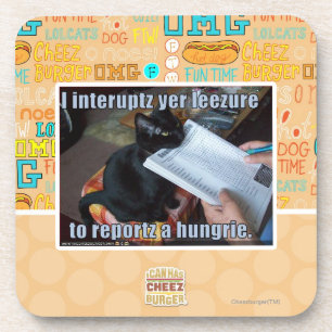 I interupt yer Leezure Coaster