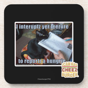 I interupt yer Leezure Coaster