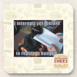 I interupt yer Leezure Coaster