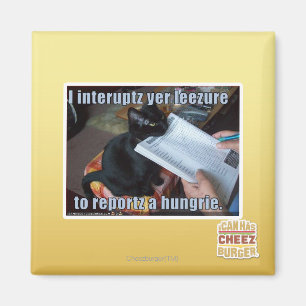 I interupt yer Leezure Magnet