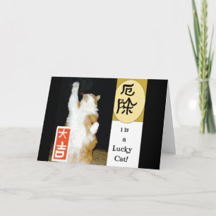 i is a Lucky Cat, Thank You Card