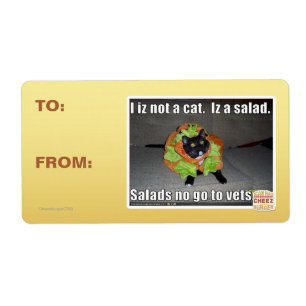 I iz not a cat. Iz a salad.