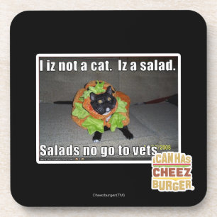 I iz not a cat. Iz a salad. Coaster