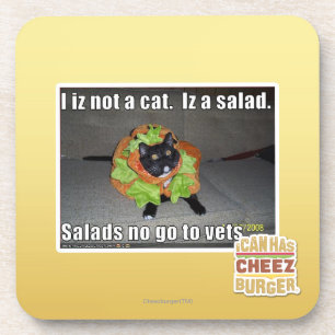 I iz not a cat. Iz a salad. Coaster