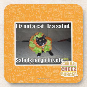 I iz not a cat. Iz a salad. Coaster