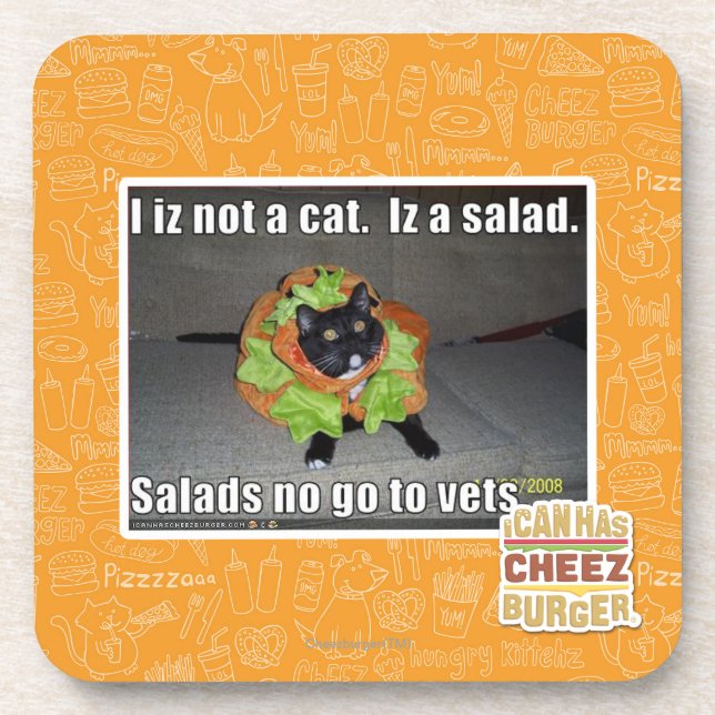 I iz not a cat. Iz a salad. Coaster (Front)