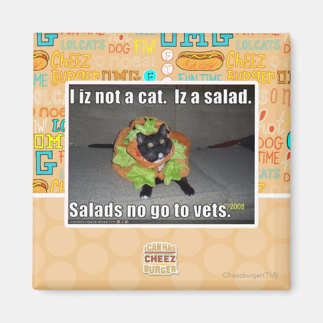 I iz not a cat. Iz a salad. Magnet (Front)