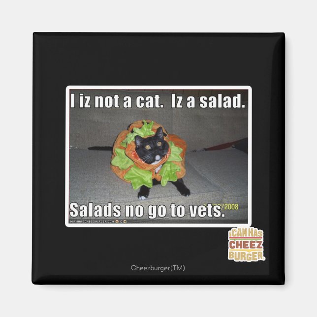 I iz not a cat. Iz a salad. Magnet (Front)