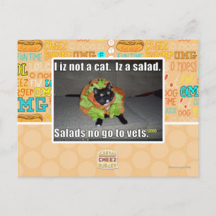 I iz not a cat. Iz a salad. Postcard
