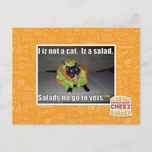I iz not a cat. Iz a salad. Postcard
