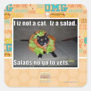 I iz not a cat. Iz a salad. Square Sticker