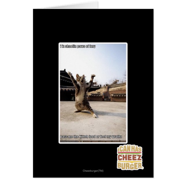 I iz shaolin paws of fury (Front)