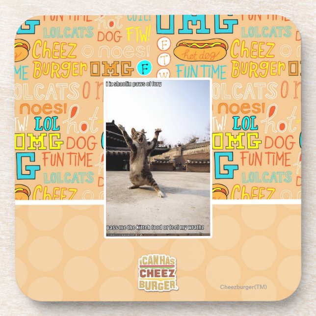 I iz shaolin paws of fury coaster (Front)