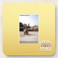 I iz shaolin paws of fury