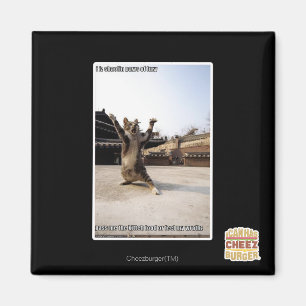 I iz shaolin paws of fury magnet