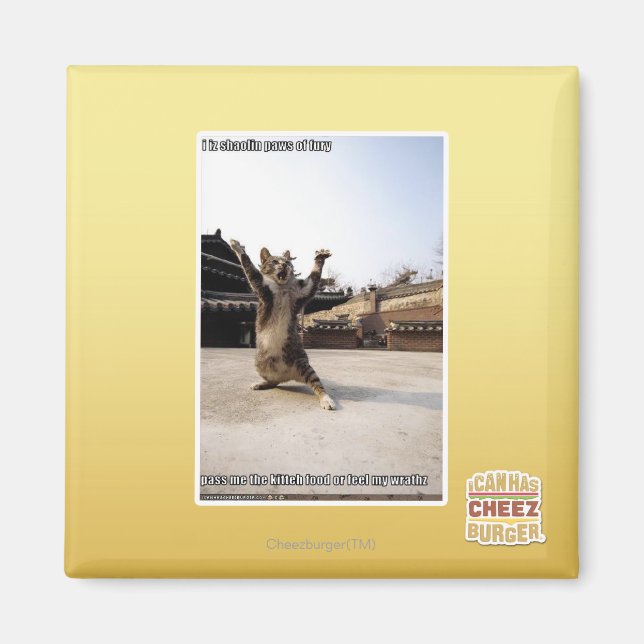 I iz shaolin paws of fury magnet (Front)