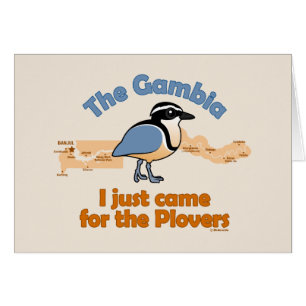 I Just Came for the Plovers